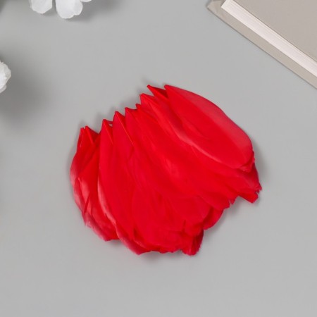 Decorative goose “scarlet” pen in the shape of a sheet set 40 pcs h = 5-7 cm