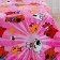 Pedlink Pavlinka Mimimishki, size 150x100 cm, pink color, Aerosoft