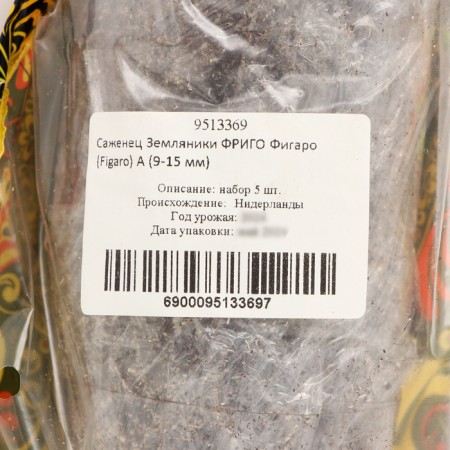 Frigaro Frigaro Strawberry seedling (9-15 mm), 5 pcs-3