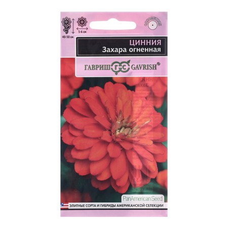 Seeds of Zinnia "Zakhara", fire 5 pcs.