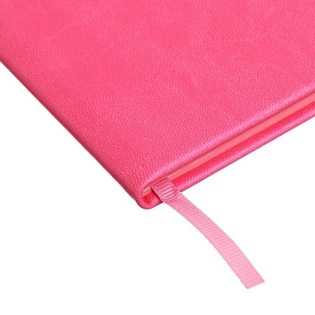 Universal Grade 1-11 Diary, 48 pink sheets, firm artificial leather cover, pancake embossing, liesse-2
