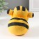 Growing gift Grass growing "Bee"