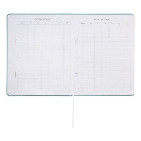 Universal diary for grade 1-11 Modern Concept, solid cover, artificial leather, silkography, liesse, 80 g/m2-5