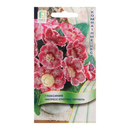 Gloxinia flowers "Impress red ink", 5 pcs.