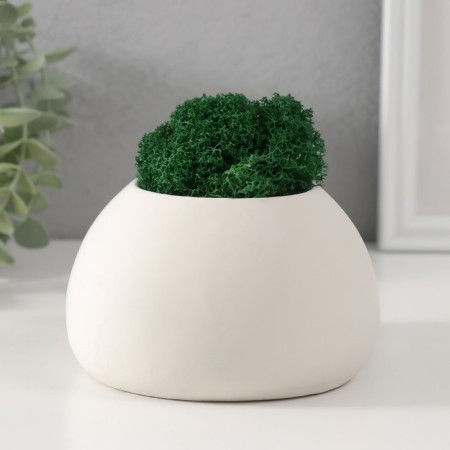 Cashpo concrete "Ball with eyes" with moss 7*12 cm white (moss green stabilized)-2