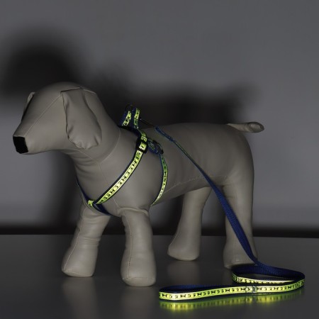 Set "Bones and Paws" reflective, leash 120 x 1.5 cm, OG 36-52 cm, blue-7