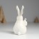 Souvenir Polystone "Rabbit White Fatty with Rabbit on the paws" 5.5x5x11.5 cm cm cm