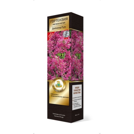 Hydrangea blizzard suite "Diamond Ruzh" 1 pc, tube, spring 2025-2