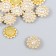 Decor for creativity Plastic "Flower-Solnz Purvator" set 20 pcs 1.4x1.4x0.4 cm
