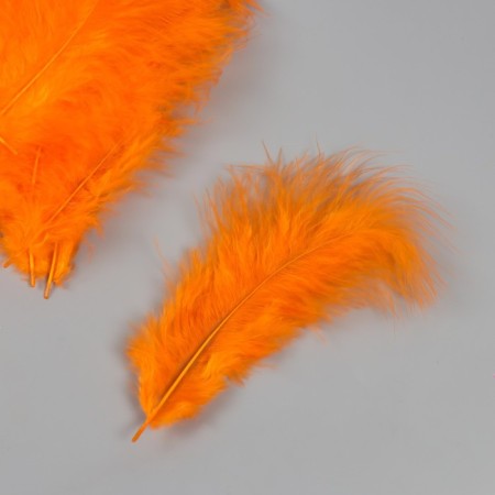 Pen of decorative goose downy "orange" set 40 pcs h = 10-15 cm-1