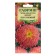 Astra seeds "Bouquet", peach, one -year -old, 0.3 g