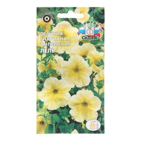 Flowers of Petunia "Lel",