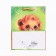 Gift package "Lion", 18 x 22.3 x 10 cm