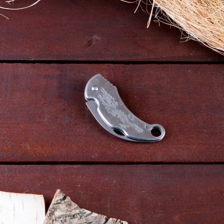 Knierambit "Dragon" 14.5cm, blade 65mm/2mm, silver-2