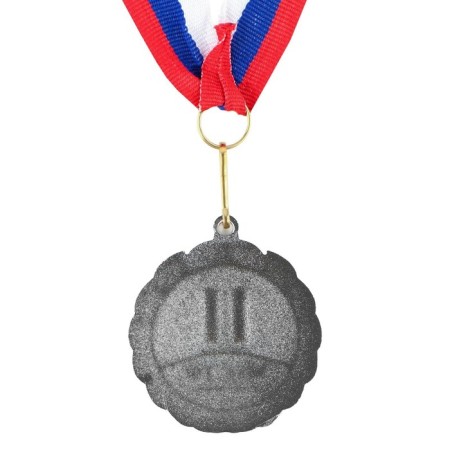 Prize medal 001, D = 5 cm. 2 place. Color: Silver. With a ribbon-4