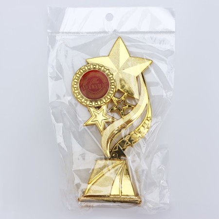 Cup "You are well done", award figure, gold, plastic, 16.5 x 8 cm.-7