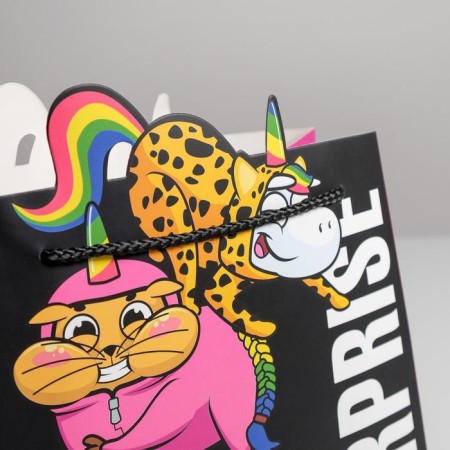 Gift package, packaging, SurPprise, 25 x 26 x 10 cm-2