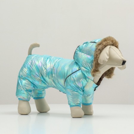 Combine "gloss", size 12 (DS 28, OG 38, Osh 27), blue-2