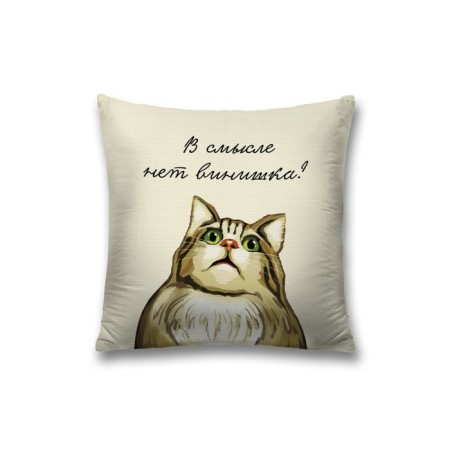 Decorative pillowcase "There is no vinyl in the sense of?", On a zipper, size 45x45 cm