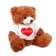 Soft toy "Favorite Bear", 20 cm, Mix colors