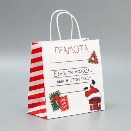 Package Gift craft "Well done", 22 x 22 x 11 cm, new year-1