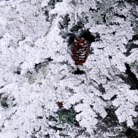 Christmas tree "snowy elite" with cones (mixed branches) 180 cm d of the lower tier 120 cm 350 branches-1