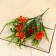 Bouquet "Royal Flower" 30 cm, mix