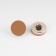 A set of plastic buttons on the leg, d = 15 mm, 10 pcs, matte, brown color