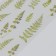 Stickers for creativity plastic "Fern" 21x10.5 cm