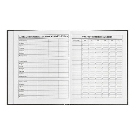 Universal Diary Grade 5-11, 48 sheets "Bear toxic", matte lamination, block 65g/m2-6