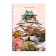A4 notebook, 120 sheets in the cage on the crest "amazing landscape", cover coated cardboard, glossy lamination, mix