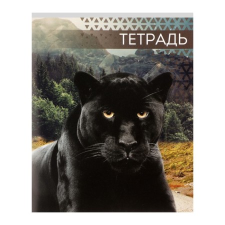Notebook of 48 sheets in Calligrata "Wild Cats", cover coated paper, block No. 2, mix-4