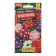 Verben seeds bright sparks, a mixture of varieties ONE C/P 40 pcs