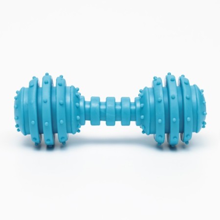 Chewing toy "Champion", TPR, 12.5 cm, blue-1