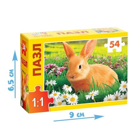Puzzle "The Young", 54 elements-3