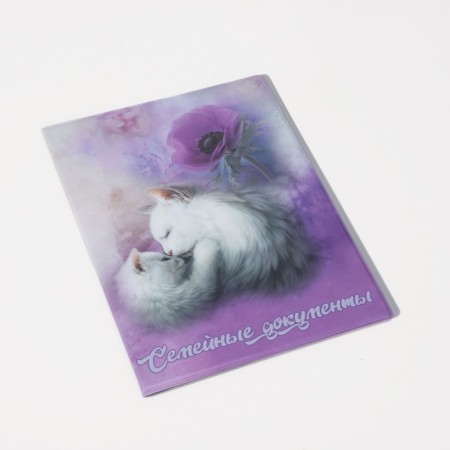 Folder for documents, 2 sets, lilac color