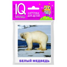 A set of cards for children 
