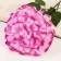Artificial flowers "Royal geranium" 16x60 cm, raspberry