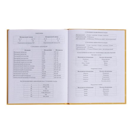 Diary for a music school, 48 sheets, hard cover, matte lamination, foil embossing, reference information, block 60g/m2-13
