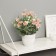 Bonsai in the pot "Freesia Premium Extra" 21x9 cm, mix