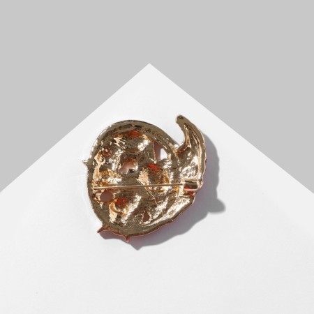 Brooch "Leaves" autumn landscape, color in gold-1