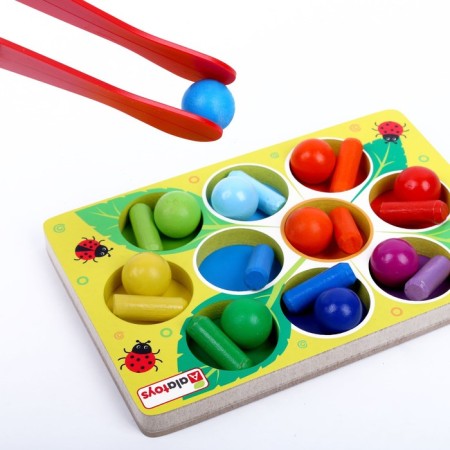 Sorter with tweezers "Color Polyana"-2