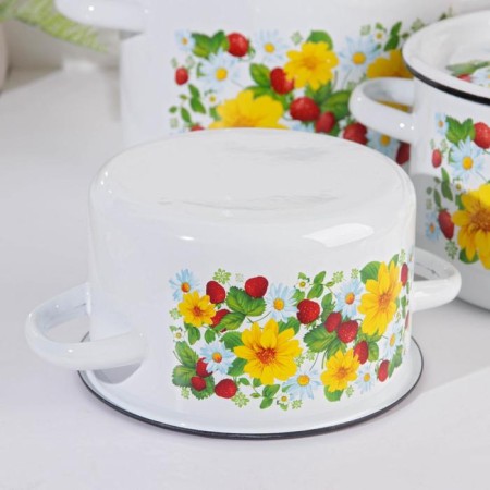 Set of pots "strawberries", 3 subjects: 1.5 l, 2.9 l, 4.5 l, enameled covers, induction-2
