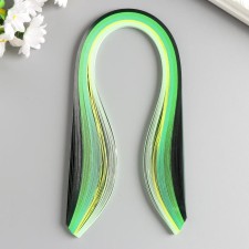 Strips for quilling 100 stripes density 120 grams 