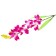 Artificial flowers "Gastrochis orchid" 70 cm, white-violet