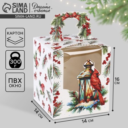 New Year's folding box "New Year's botanist" 14 x 16 x 14 cm, New Year