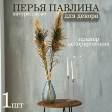 Feather Pavlin for decor, size - from 90 to 100 cm