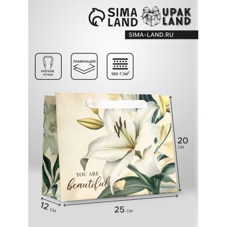 Gift horizontal package "Beautiful", 23 x 18 x 10 cm