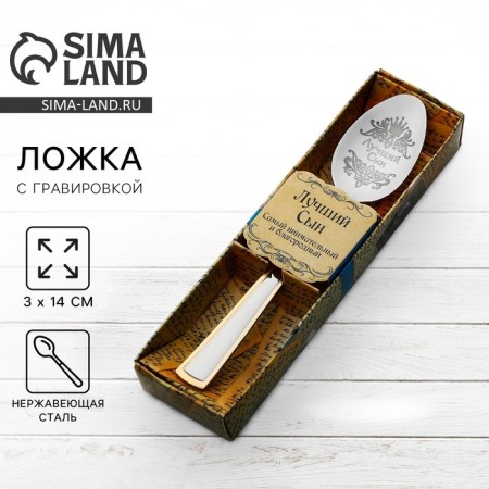 A teaspoon spoon with an engraving “Best Son”, in a gift box, 3 x 14 cm.