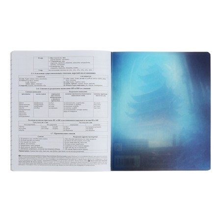 Subject notebook, 48 sheets, ruler, Russian language, Erichkrause "Manga", cardboard cover of Twin-lax, block offset 100%, information block-6